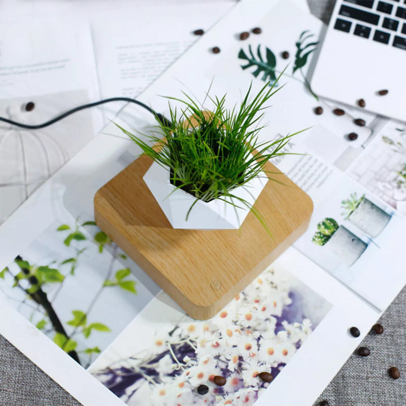 Magnetic Levitating Bonsai Geometric Pot With Wood Grain Base