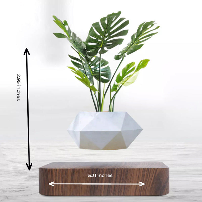 Magnetic Levitating Bonsai Geometric Pot With Wood Grain Base