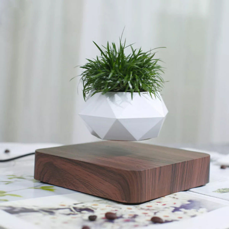 Magnetic Levitating Bonsai Geometric Pot With Wood Grain Base
