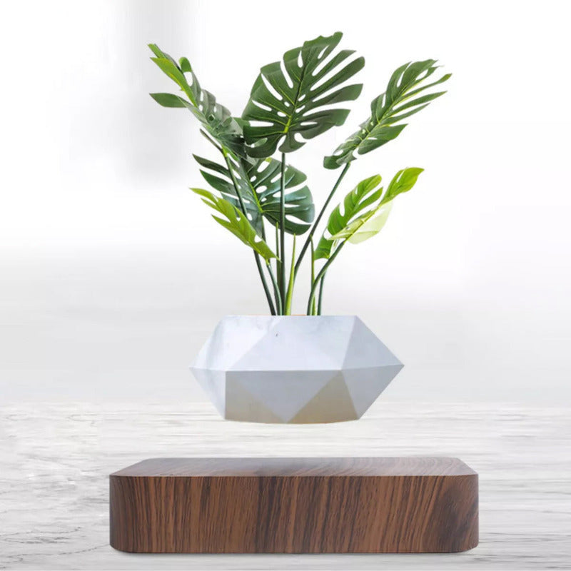 Magnetic Levitating Bonsai Geometric Pot With Wood Grain Base